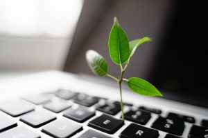 Día Mundial del Medio Ambiente: digitalizar para cuidar lo que importa